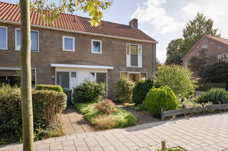 Hoge Hondstraat 98 main image