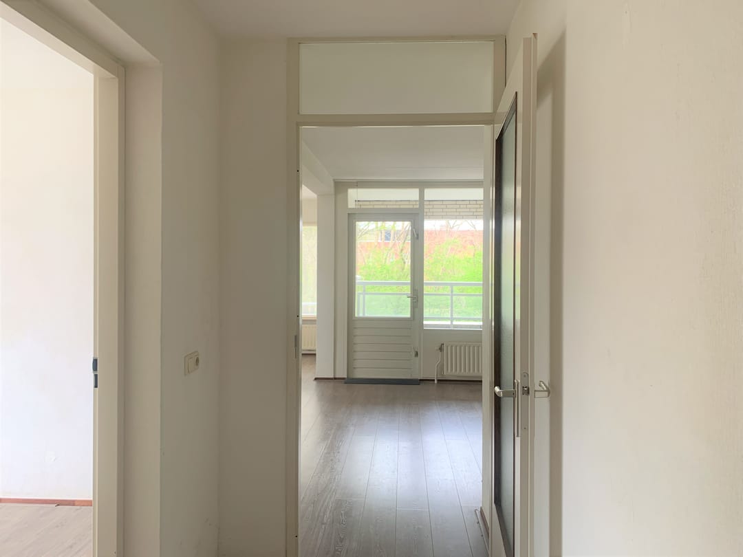 House Image 4