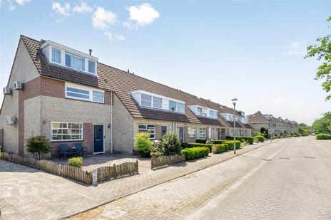 Afbeelding van Roerdomp 37 - Derde foto