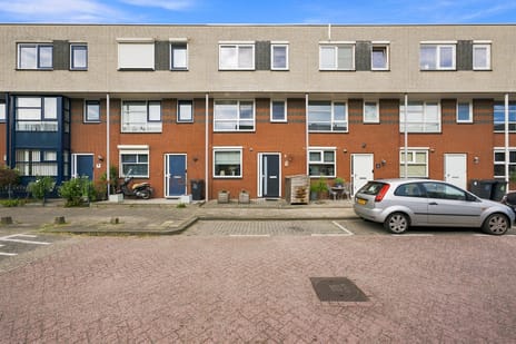 undefined main image