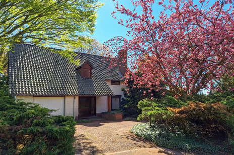 Heideweg 2 tertiary image