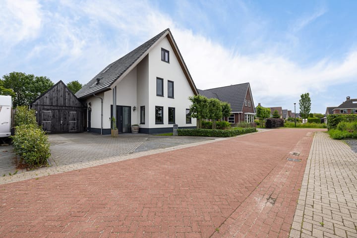 De Swan 19 main image