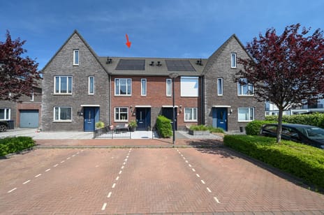 undefined main image