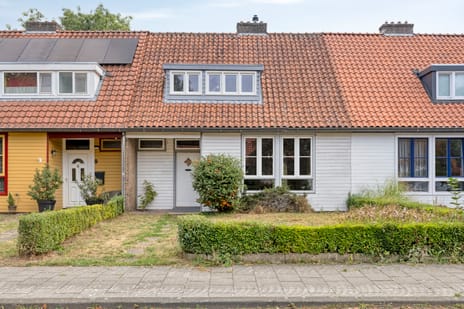 undefined main image
