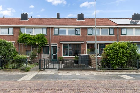 undefined main image
