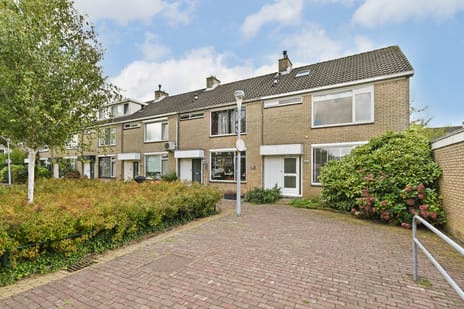 Graan voor Visch 18621 main image