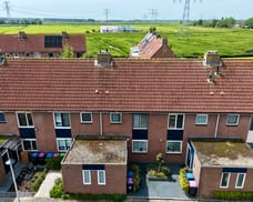 Afbeelding van Raaigras 6 - Tweede foto
