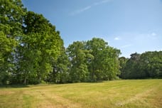 Afbeelding van Ganzebosweg - Derde foto