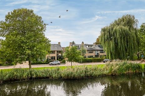 Abraham van der Hulstln 16 main image