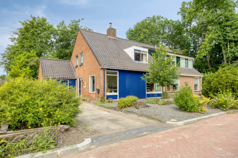 undefined main image