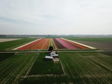 Afbeelding van Herenweg Noord 5 - Tweede foto