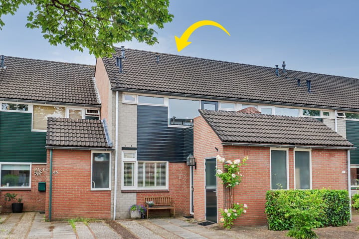 Lieshoutstraat 87 main image