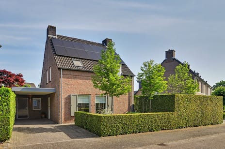undefined main image
