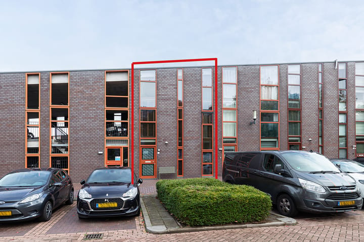 IJsbloem 1 main image