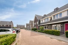 Afbeelding van Klaproos 6 - Tweede foto