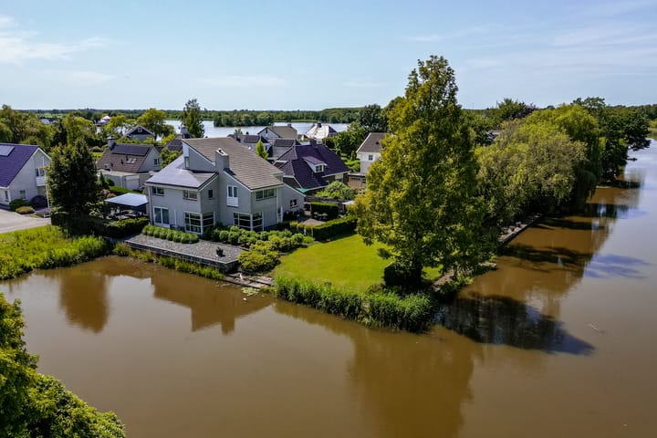Knobbelzwaan 2 main image