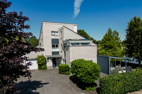 Knobbelzwaan 2 secondary image