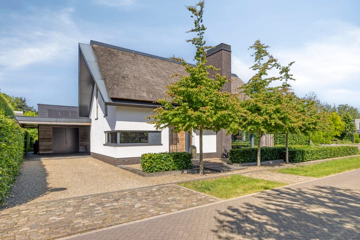 Klein Hoefblad 17 main image