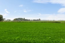 Afbeelding van Luingaweg 34 - Derde foto