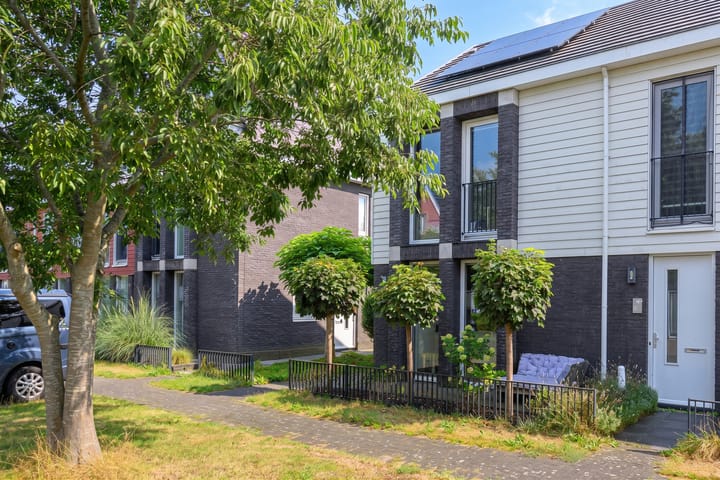 Dijkgraaf 90 main image