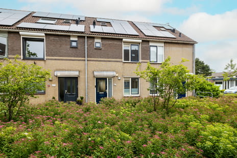 undefined main image