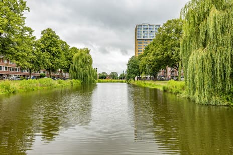 Wielewaalplein 270 secondary image