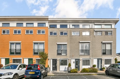 Goudpluvier 11 main image