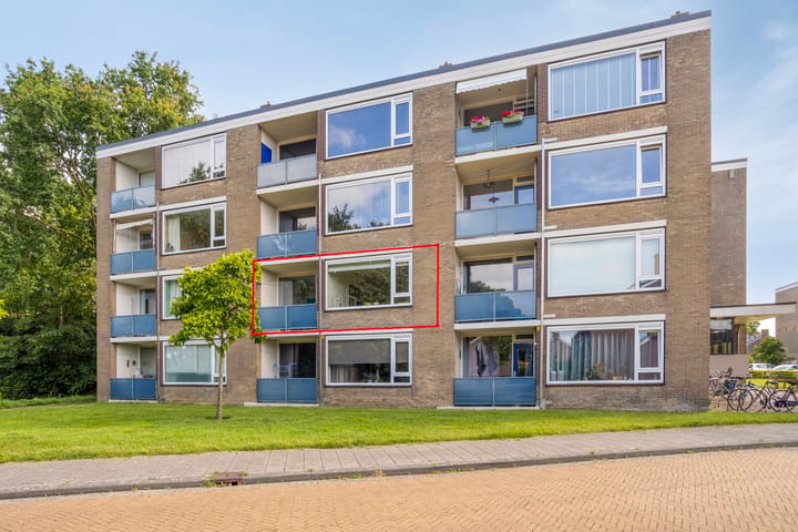 Hofstedestraat 59 main image