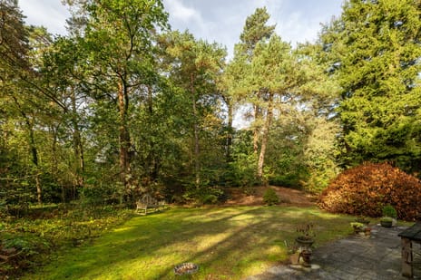 Afbeelding van Ericaweg 9-0050 - Derde foto