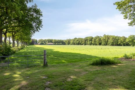 Alberdalaan 2 tertiary image