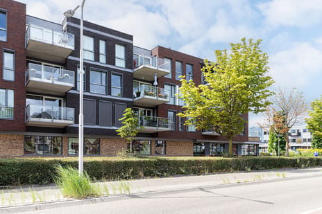 undefined main image