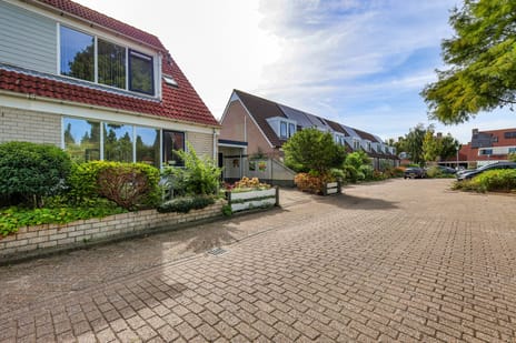 Afbeelding van Trogven 3 - Tweede foto