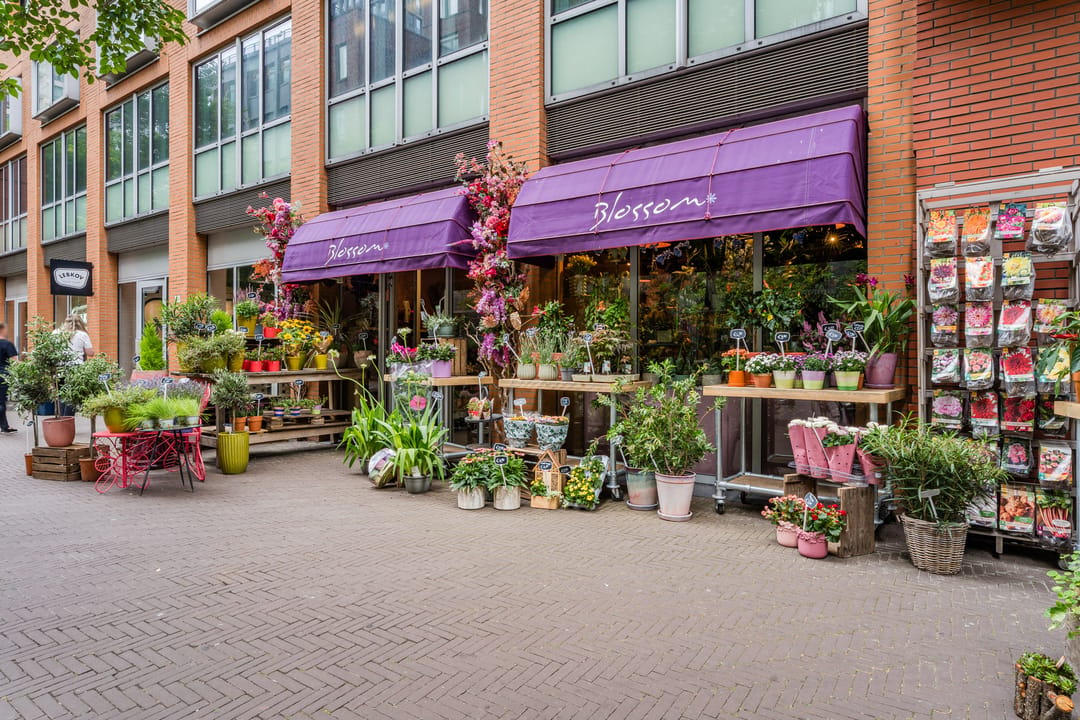 Photo 11 of Clioplein/Muzenplein