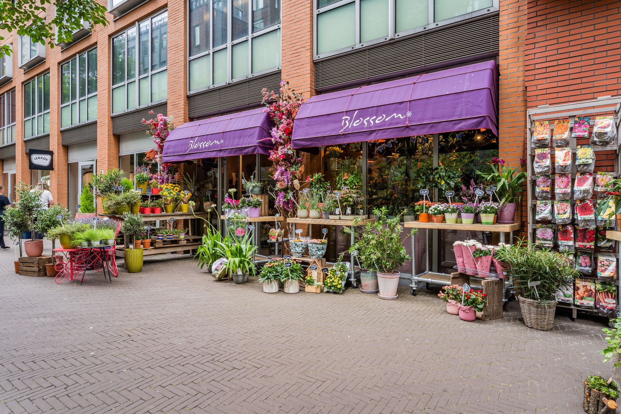 Photo 11 of Clioplein/Muzenplein