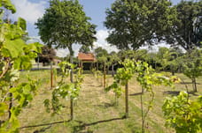 Afbeelding van Meijelsedijk 70 - Derde foto