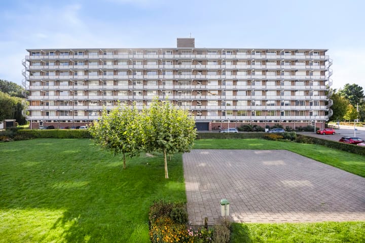 Alkenoord 25 main image