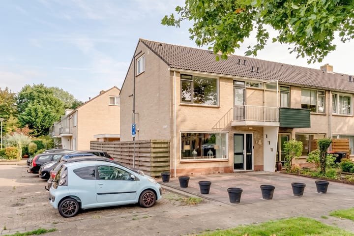 Hertog Albrechtstraat 176 main image