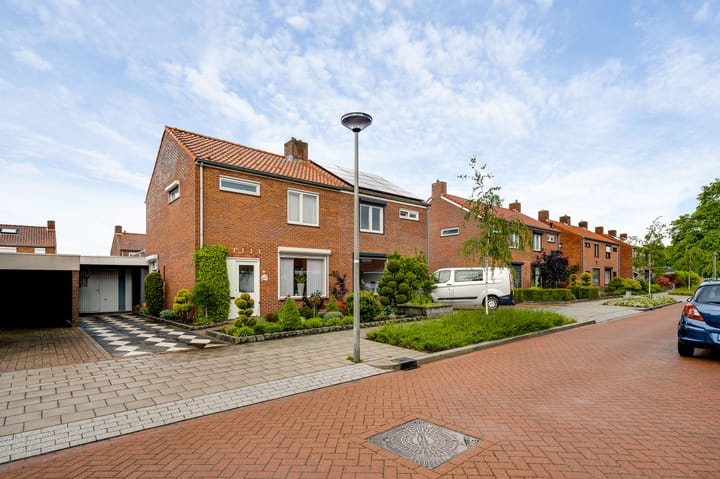 Berkenlaan 5 main image