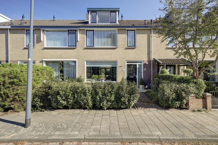 Anton Mauvelaan 20 main image