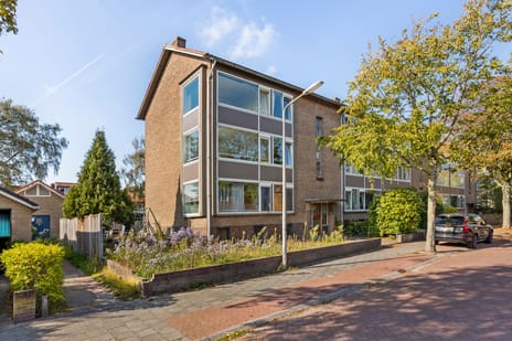 Ten Boomstraat 5 main image