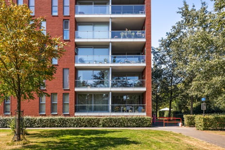 Ferdinand Bolstraat 43 secondary image