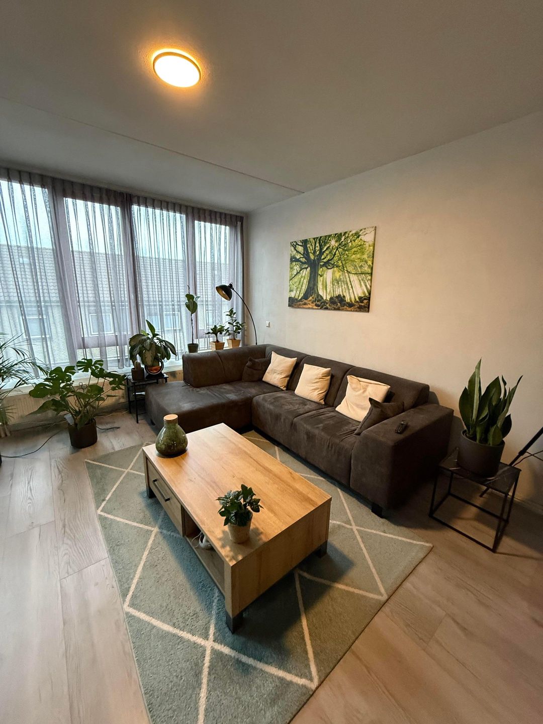 House Image 3