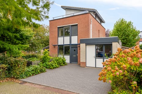 Schout van Vertaingstraat 15 main image