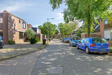 Zeelandsingel 100 tertiary image