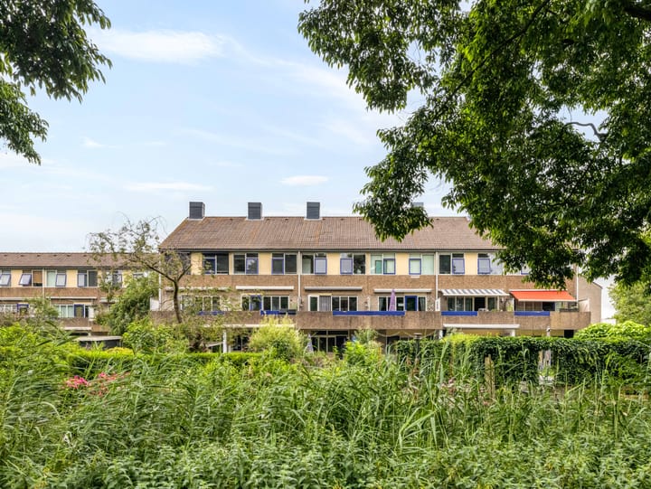 Bloemstede 446 main image