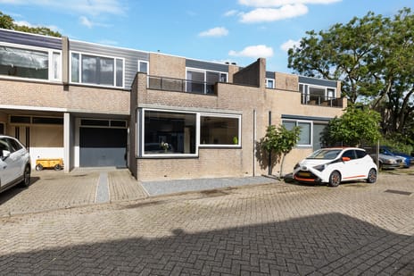 Couwenhoven 6109 main image