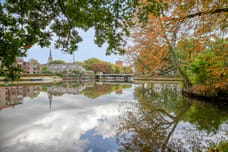 Afbeelding van Ter Pelkwijkpark 40 - Tweede foto