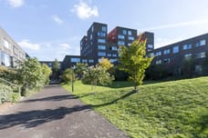 Afbeelding van Kiekstraat 13 - Derde foto