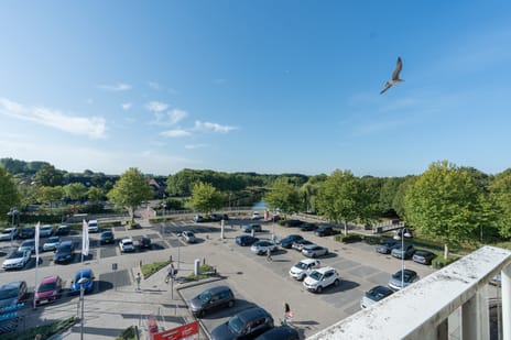 Image of Muiderbos 84 - Third image