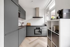 Afbeelding van Haring 1 - Derde foto